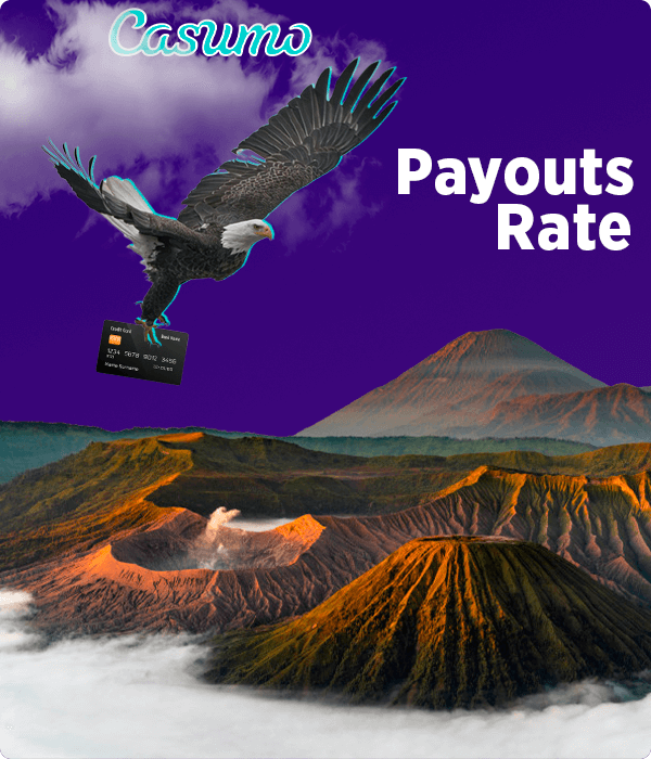 Payouts Rate