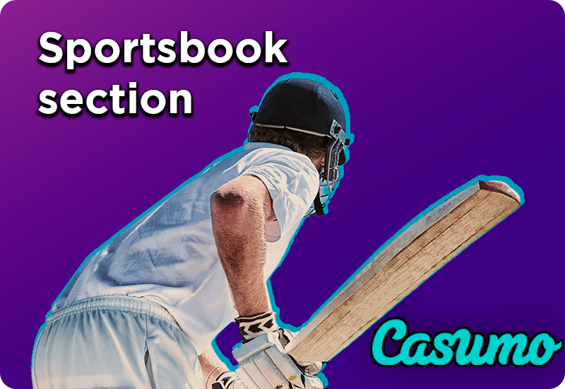 Cricket player in a helmet and in a cricket uniform holds a cricket bat annd casumo logo