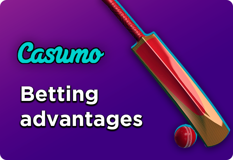 cricket bat and ball and Casumo logo